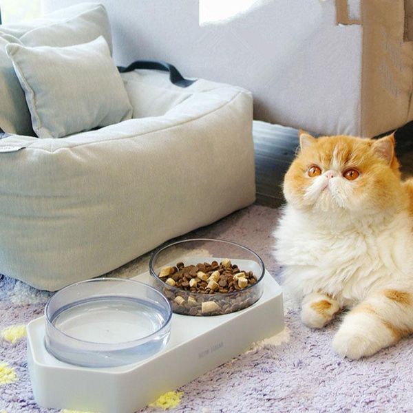 

non-slip pet bowls transparent neck guard double bowl feeder and feeding water container for cats small dogs supplies cat & feeders