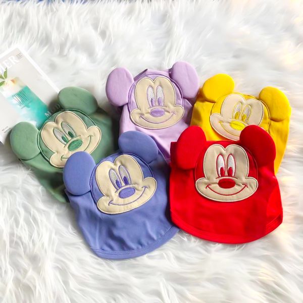 

pet cloth dog pet spring and summer cartoon vt