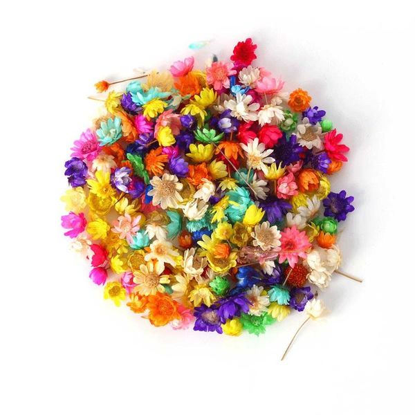 

200pcs/bag dried flower head daizy art design for nail supplies cover filling epoxy hand craft diy multicolor decorations, Silver;gold