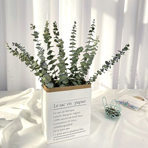 

dried natural fresh forever eucalyptus flower branches,decorative grass coins,dry preserved eternal leaves for home 55cm tall