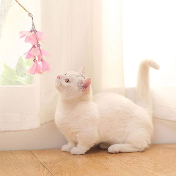 

pet cat funny interactive stick teaser wand 3 layers feather pendant toy exerciser toys