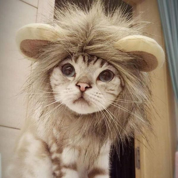 

cat costumes lion mane wig funny kitty little puppy costume adorable pet hat