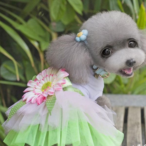 

dog apparel puoupuou floral clothes summer pet coat pets dogs clothing skirt for small medium costume puppy outfit xs-2xl