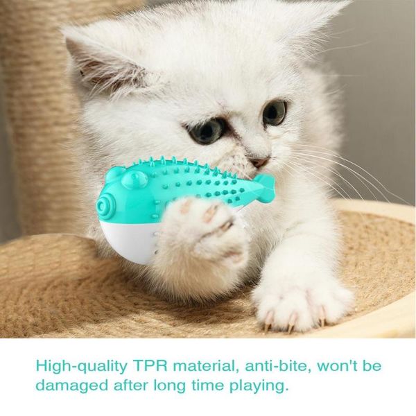 

cat toys eco-friendly simulation fish shape toothbrush anti-bite pet chew lake blue