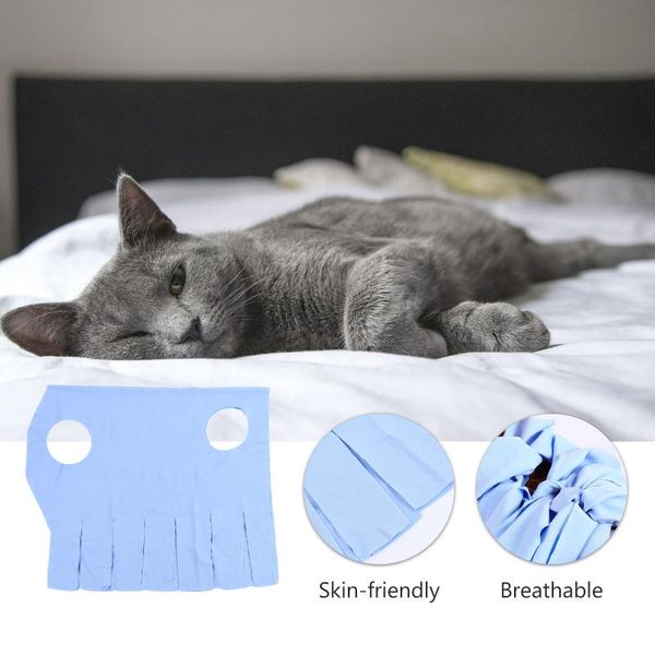 

cat costumes protective coat recovery suit pet female cotton care clothes
