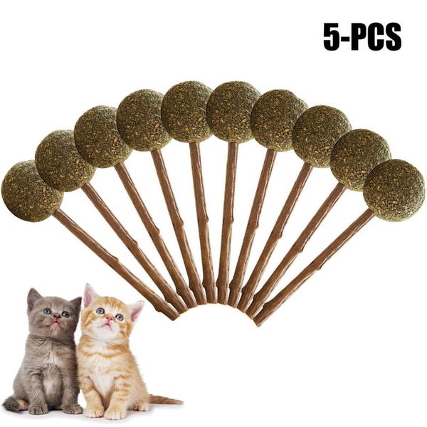 

5pcs pure natural catnip pet cat toy molar toothpaste branch cleaning teeth silvervine sticks supplies toys