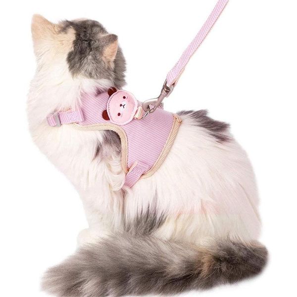 

cat collars & leads harness and leash set for walking proof adjustable outdoor
