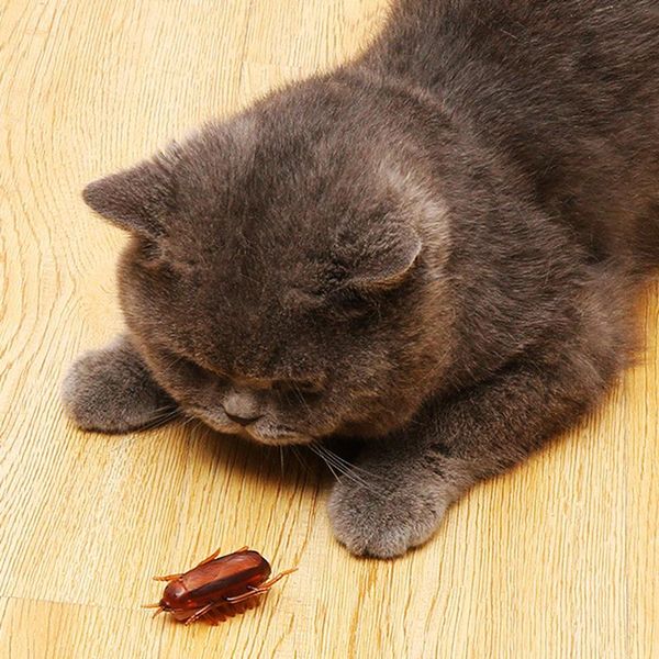 

[mpk store] battery powered mouse shape toy for cats, fun cat toy, toys
