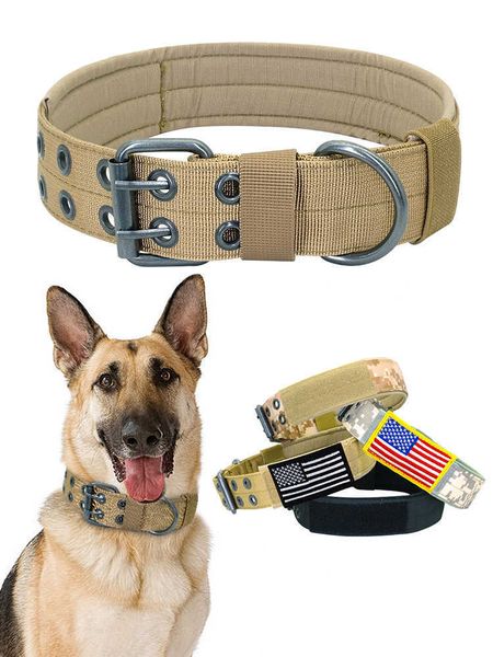 

large collar, medium-sized golden dog neck collar