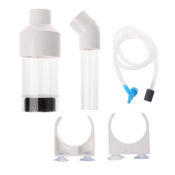 

aquariums aquarium cichlids tumbler incubator fish hatchery eggs instead mouth-brooding