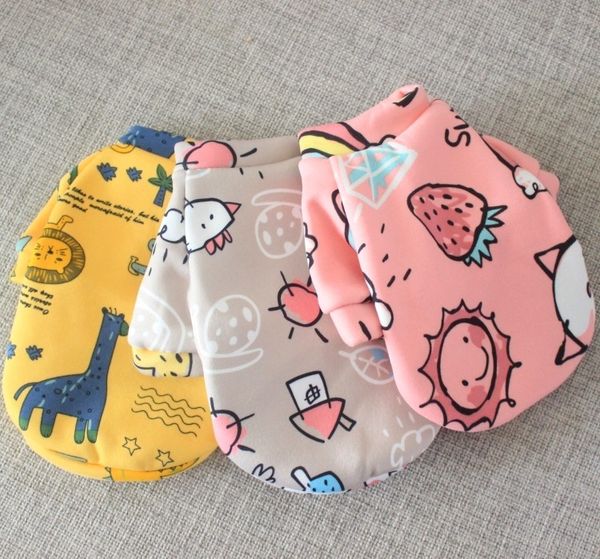 

cats, dogs, puppi, bomei chenery, small pets, bears, teddy, dog cloth, spring and autumn, winter autumn
