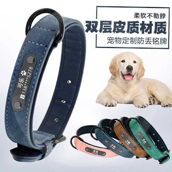 

pet husky large golden collar legal fight dog tag identity card wbvy