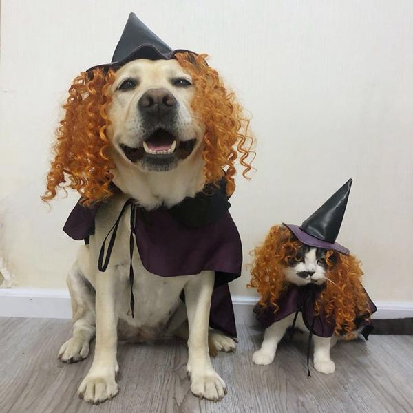 

dog apparel halloween clothes