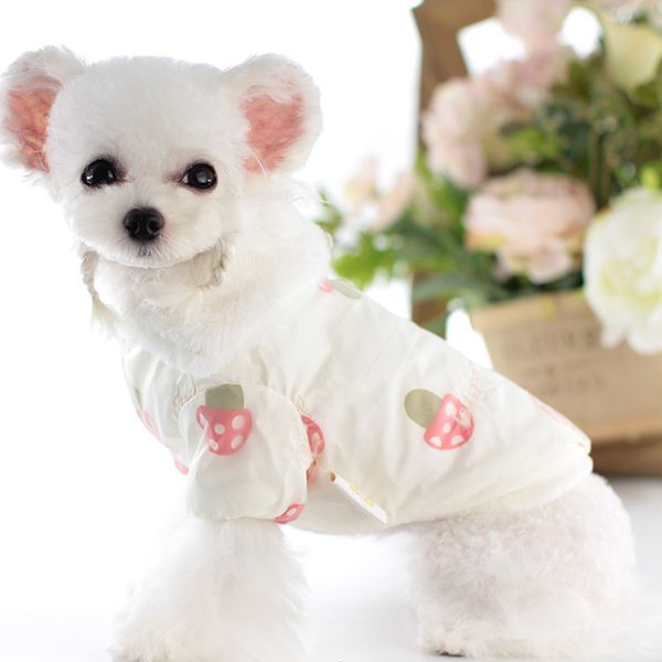 

lollypop 21 lollipop pet cloth autumn and winter dog double-layer printed cotton