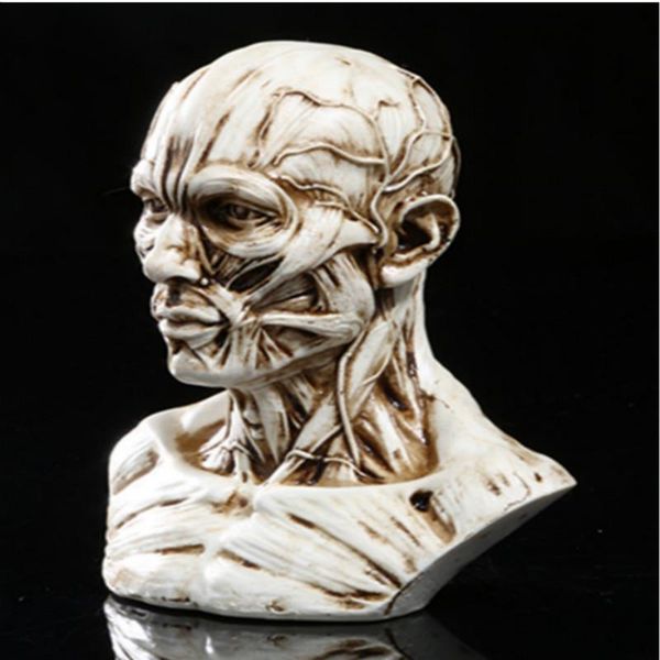 

decorative objects & figurines cute human torso sculpture decoration resin figurine craft children teaching body props classroom desk displa