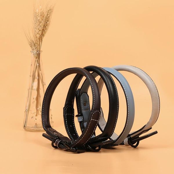 

dog collars & leashes 2021 traction rope leash pet supplies small and medium-sized accessories multi-color sports nylon collar