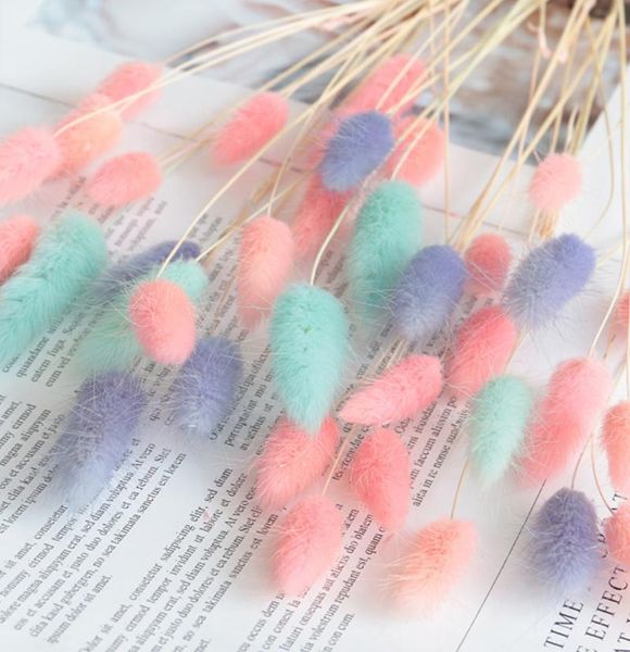 

home decor eal flower decoration 20pcs natural dried flowers tail grass for wedding 55cm lagurus ovatus decorative & wreaths