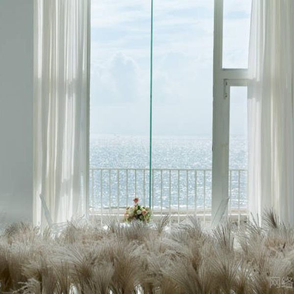 

bulrush natural dried small pampas grass phragmites artificial plants wedding flower bunch for home decor fake flowers 2021 decorative & wre