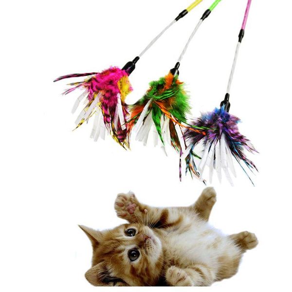 

cat toys replacement feather toy set teaser wand for kitten having fun exercise playing without the stick