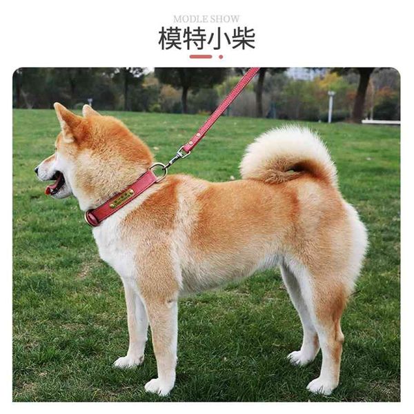 

factory pet cat lettering dog tag small dog collar nnim