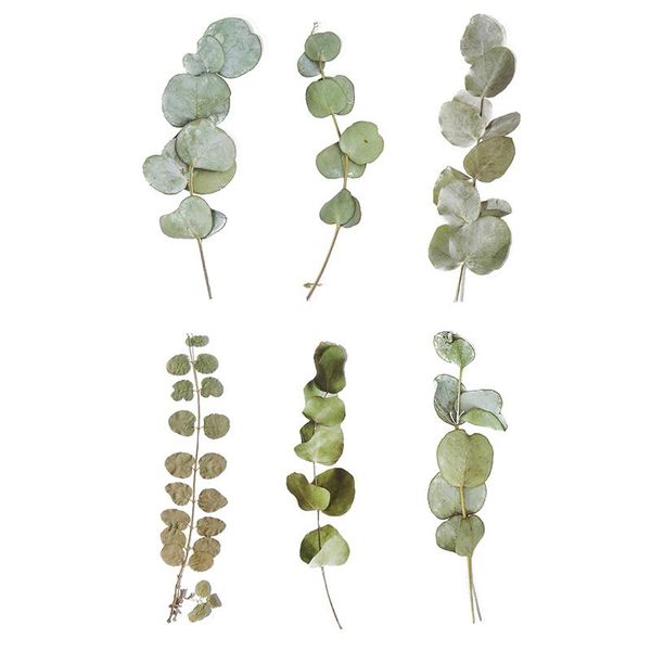 

sheet large pet stickers dried flower sticker plant notebook diary diy material home art decoration gift wrap