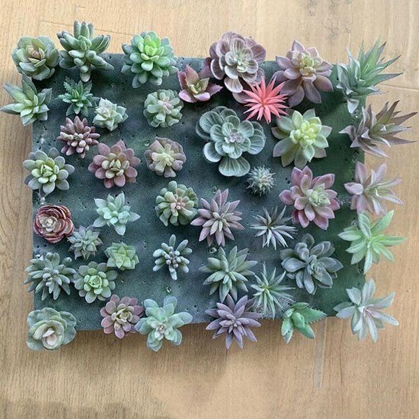 

decorative flowers & wreaths 12 pcs green flocking artificial succulents plants home garden decoration simulated floral flower bathroom deco