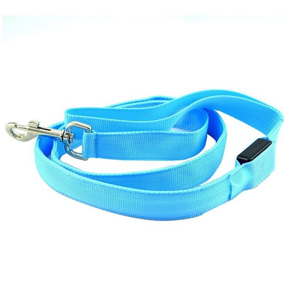 

accessories usb charging flashing glowing adjustable modes light up nylon led dog leash safe luminous pet supplies visible night collars & l