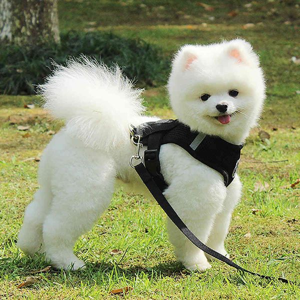 

adjustable harness vest walking lead leash for puppy dogs collar polyester mesh harness for small medium dog cat pet product
