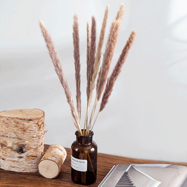 

decorative flowers & wreaths 15pcs dried reed small pampas grass phragmites communis decor for home store el room wedding po props