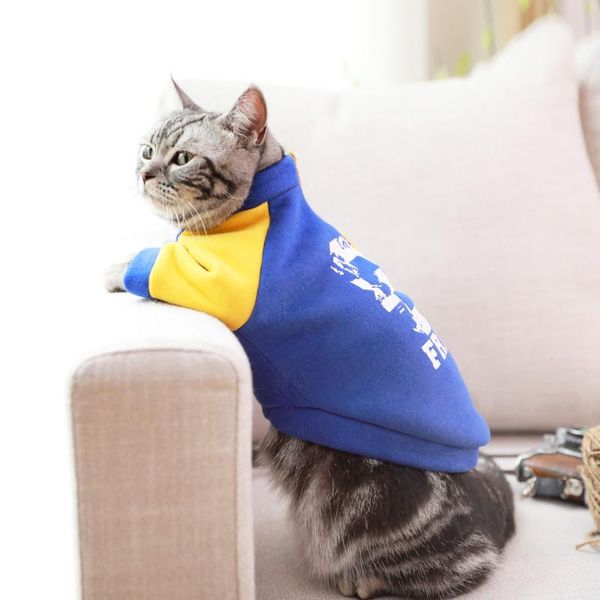 

dog apparel kitten clothes english short puppet cat orange autumn trendy clothing keep pet spring and clothe bb5wy19