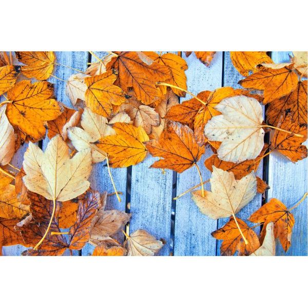 

party decoration blue wooden board backdrop falling autumn leaves background birthday wedding holiday po booth studio props