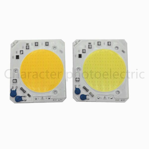 

light beads 50w 220v ip65 floodlight high power integrated led cob chip matrix spotlight diy flood outdoor street lampada