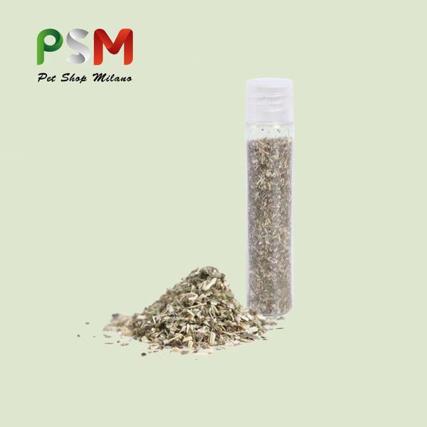 

cat toys pet natural catnip bottled cattle grass flavor interactive products