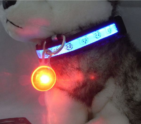 Ciondolo per cani e gatti Collare lampeggiante luminoso Ciondoli LED di sicurezza Collana di sicurezza Collare con luce notturna Ciondolo DH8812