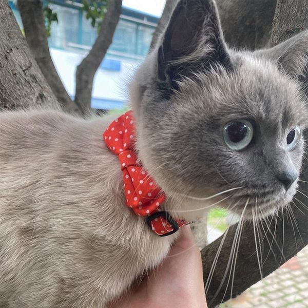 

pet cat collar wave point series bow cute puppy small dogs cats bowknot grooming accessories collars & leads