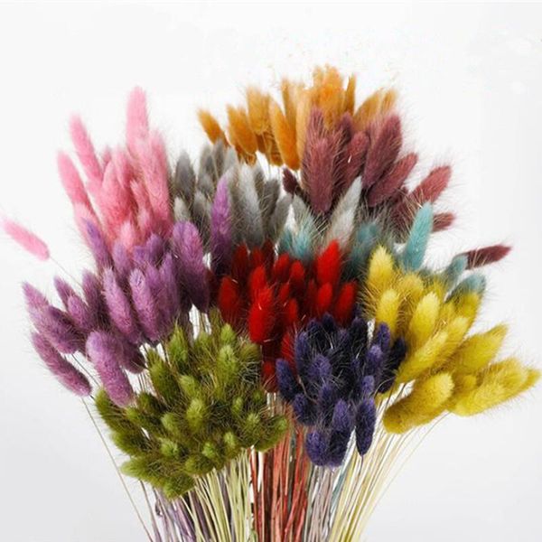 

decorative flowers & wreaths 30pcs about 30cm haregrass dog's tail grass 100% natural true dried wedding party decoration home garden d