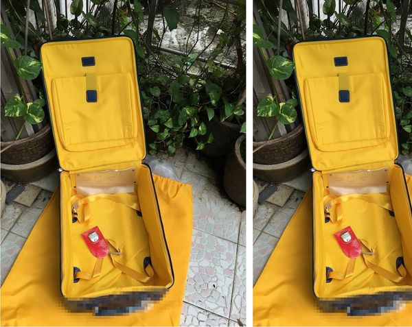 

goytravel uggage suitcase 20 inches ya alloy rod box universal wheel wheel duffel bags flower horizon goysuitcase hor