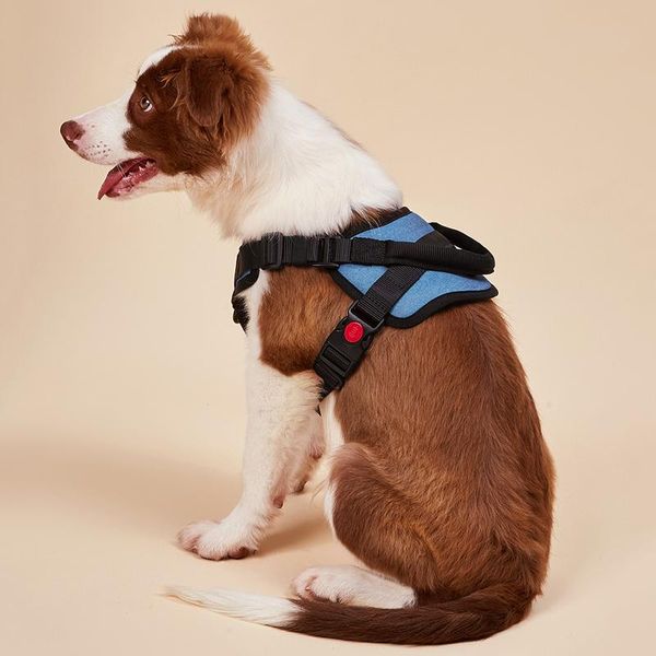 

dog collars & leashes pet harness breathable adjustable collar for medium large dogs leash nylon vest outdoor walking pets supplies