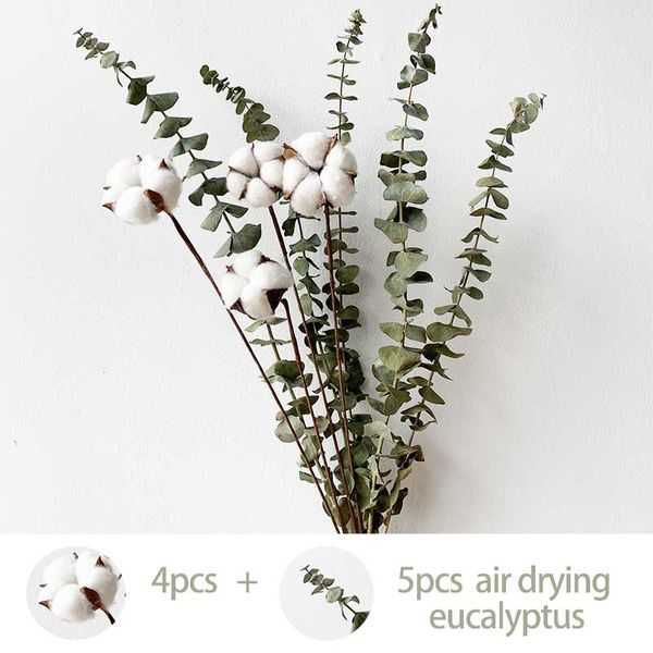 

natura dried fowers rabbit tai pampas grass agurus ovatus fresh eucayptus branches dried cotton fowers biy-ba fowers