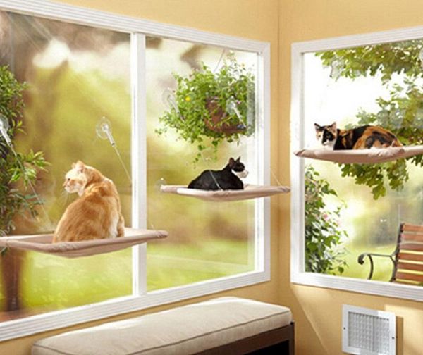 

cat beds & furniture pet kitten hammock window mounted bed hanging soft cages for chair kitty rat small pets swing