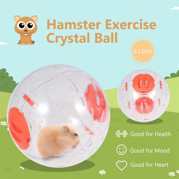 

small animal supplies hamster exercise ball crystal 6.3 inch clear running