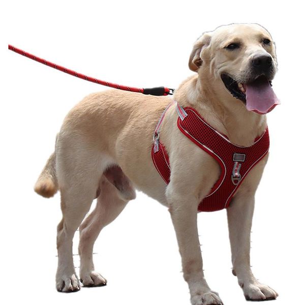 

dog collars & leashes harness with leash pet adjustable vest walking lead for puppy polyester mesh small medium