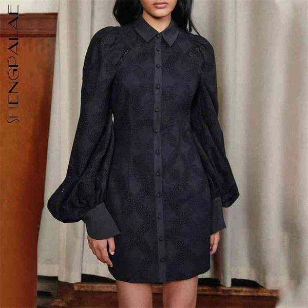 

shengpllae embroidery hollow out dress women's spring lapel long lantern sleeve short a-line above knee dresses 5b383 210427, Black;gray