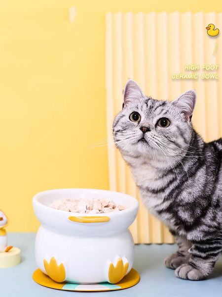 

cat bowls & feeders ceramic double bowl dog pet feeding water puppy feeder