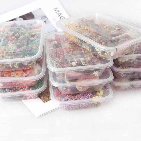 

decorative flowers & wreaths pressed dried flower dry plants for epoxy resin 1 decoration nail pendant real herbarium diy leaf box colorful