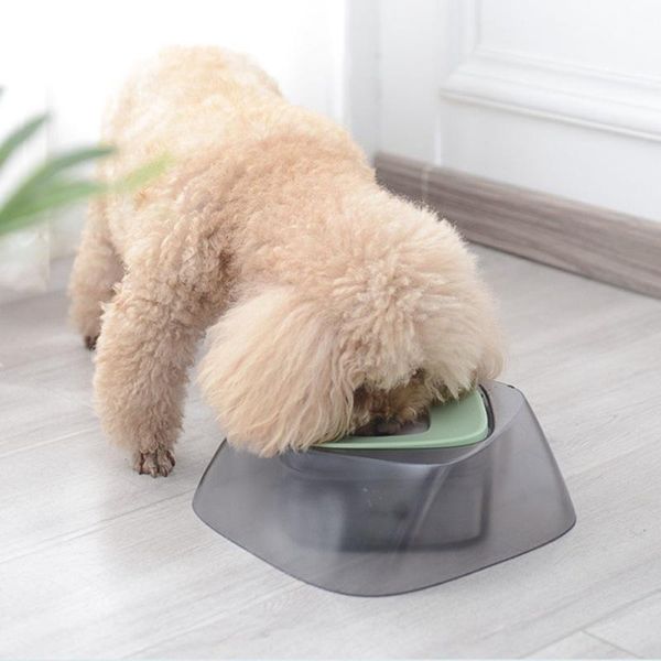 

1400ml pet dog bowls floating not wetting mouth cat bowl no spill drinking water feeder plastic portable apparel