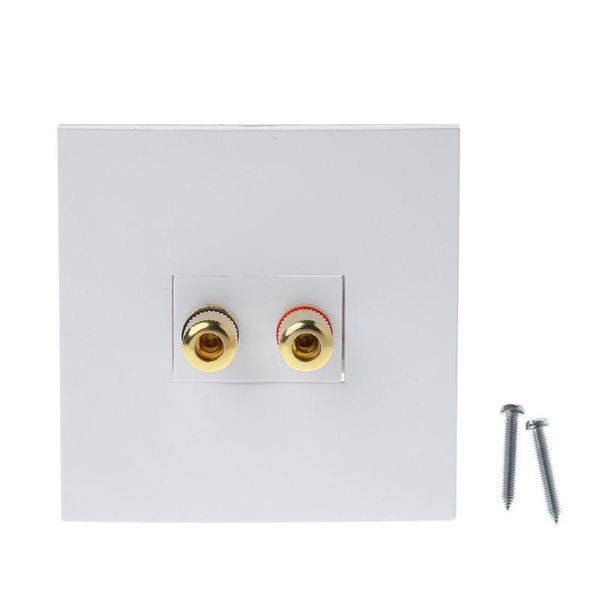 

smart power plugs audio panel terminals 2 binding post left right channels speaker connector wall socket banana jack drop