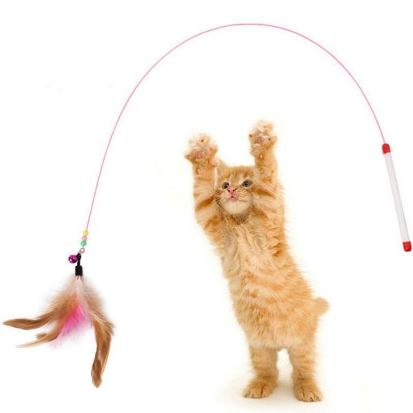

safety cat toy steel wire gatos scratching posts flexible interactive cats katten speelgoed supplies squeaker for toys