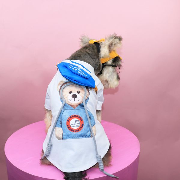 Pequeno urso animais de estimação camiseta roupas roupas de cão na moda manga curta animal de estimação moletom schnauzer cães