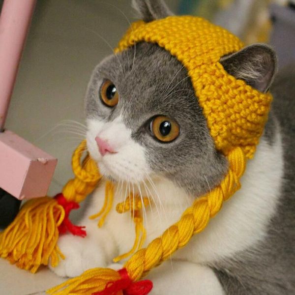 

cat costumes [mpk store] cute ponytails for cats, headwear, kitten pet costume